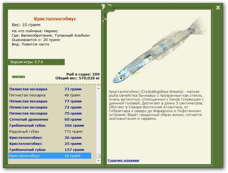 турниры • РУССКАЯ РЫБАЛКА