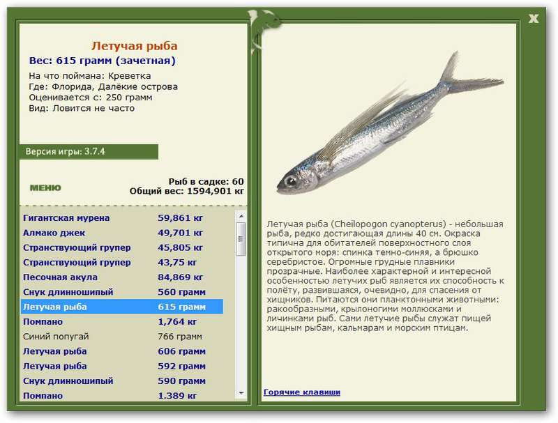 турниры • РУССКАЯ РЫБАЛКА