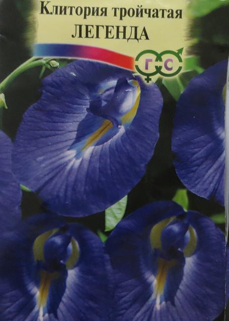 Клитория тройчатая (Clitoria Ternatea)