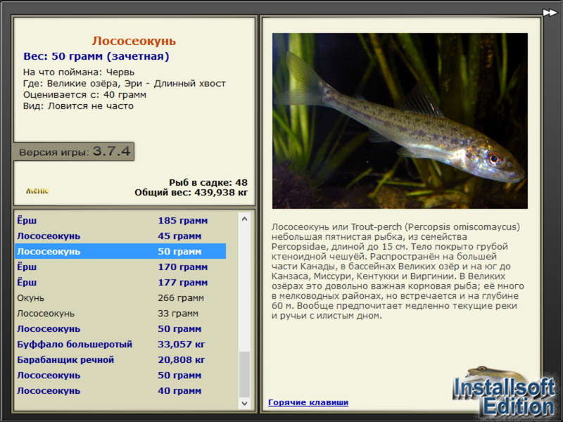 турниры • РУССКАЯ РЫБАЛКА