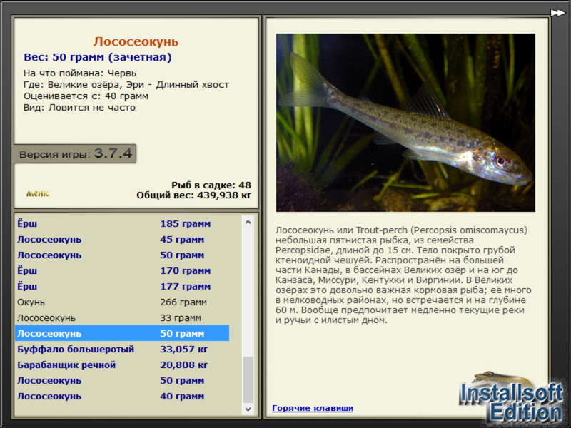 турниры • РУССКАЯ РЫБАЛКА