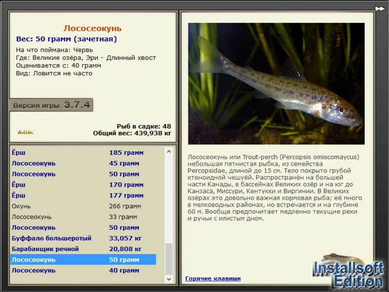 турниры • РУССКАЯ РЫБАЛКА