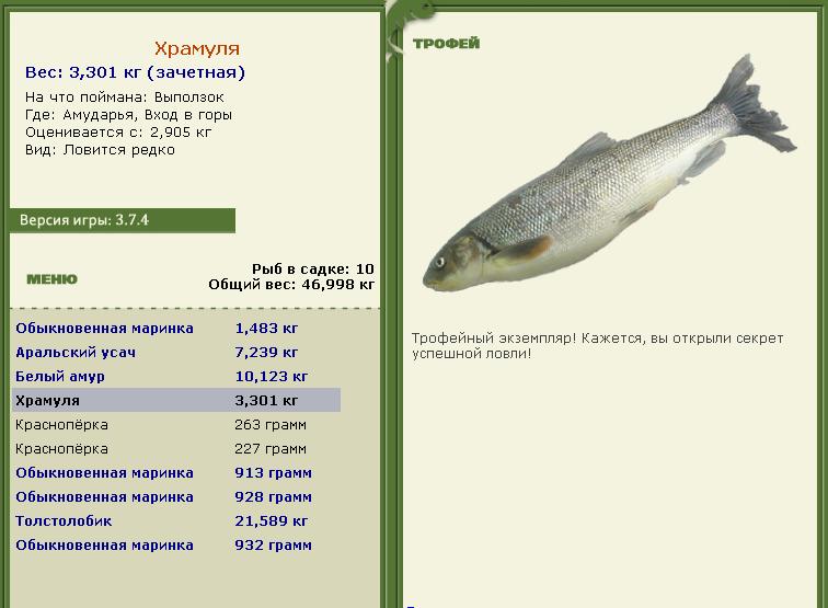 Храмуля 