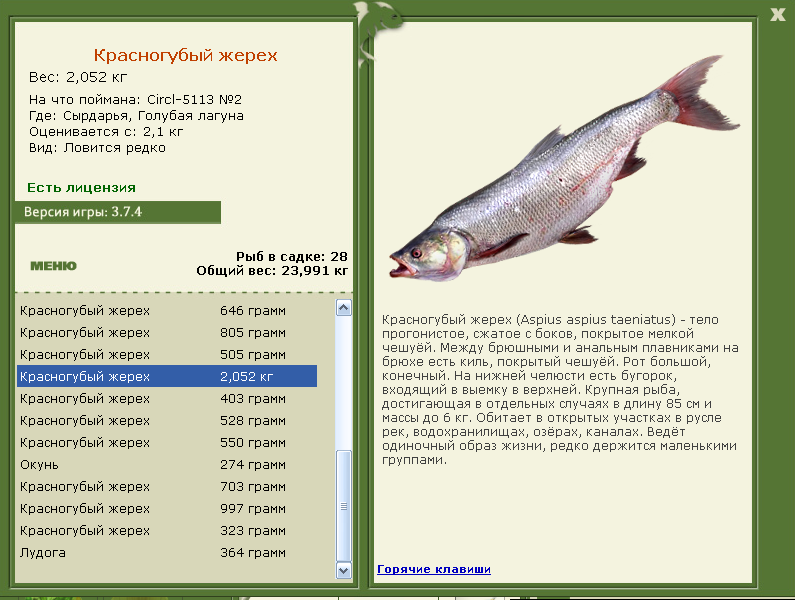Сырдарья 