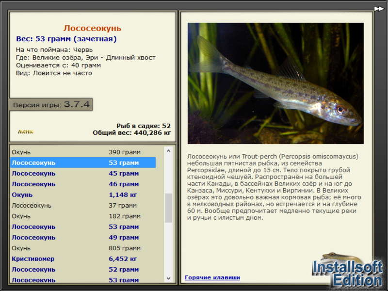 турниры • РУССКАЯ РЫБАЛКА