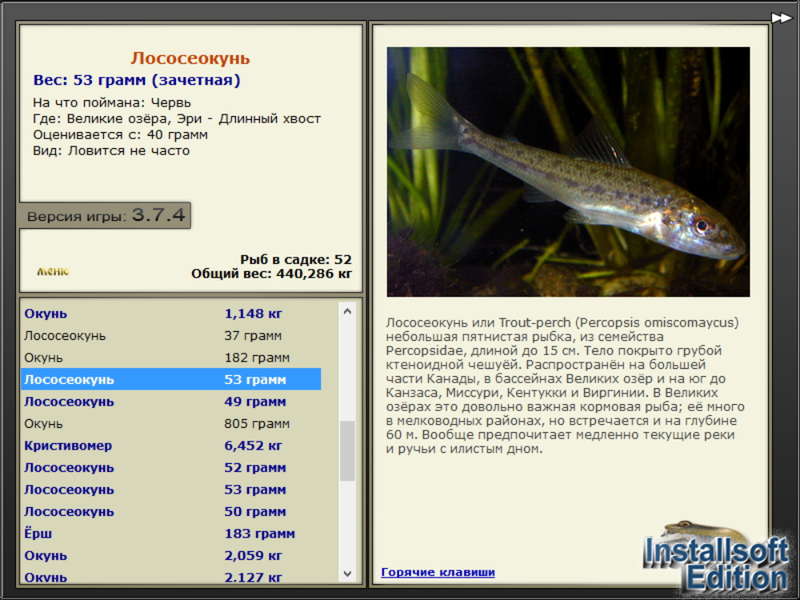 турниры • РУССКАЯ РЫБАЛКА