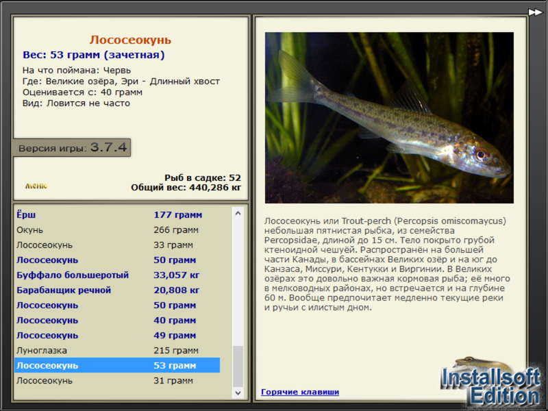 турниры • РУССКАЯ РЫБАЛКА