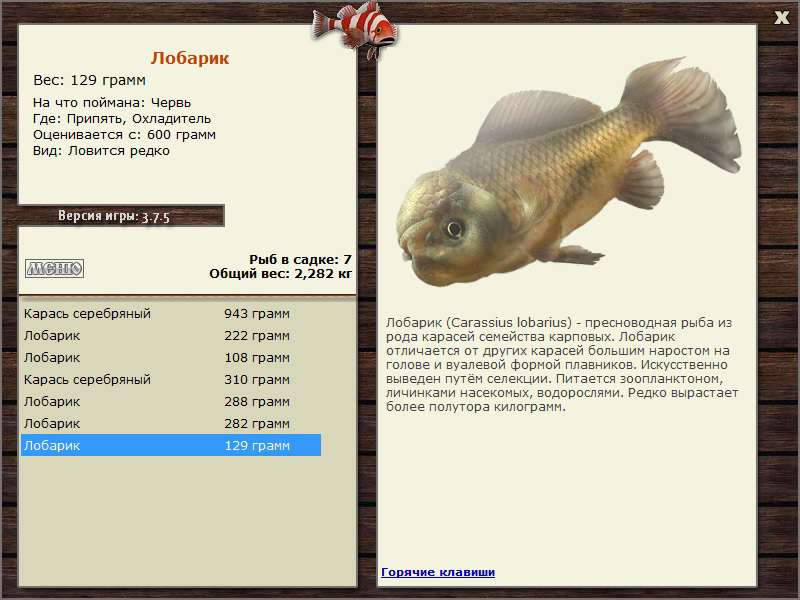 РУССКАЯ РЫБАЛКА Installsoft Edition 