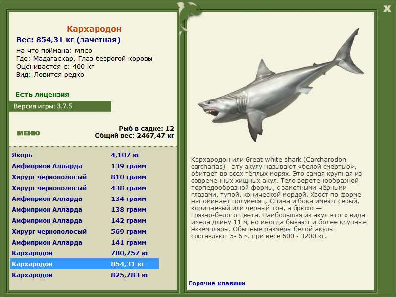 Глаз безрогой коровы 