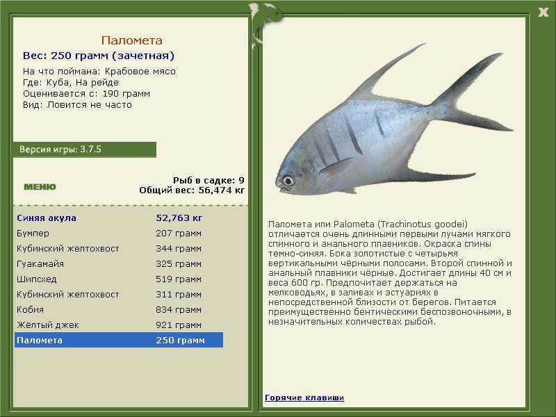 Куба 