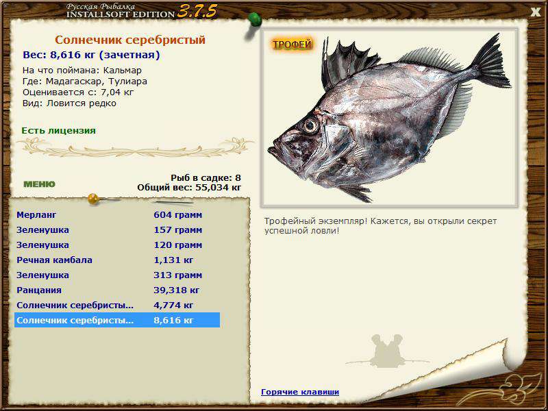 Кальмар 