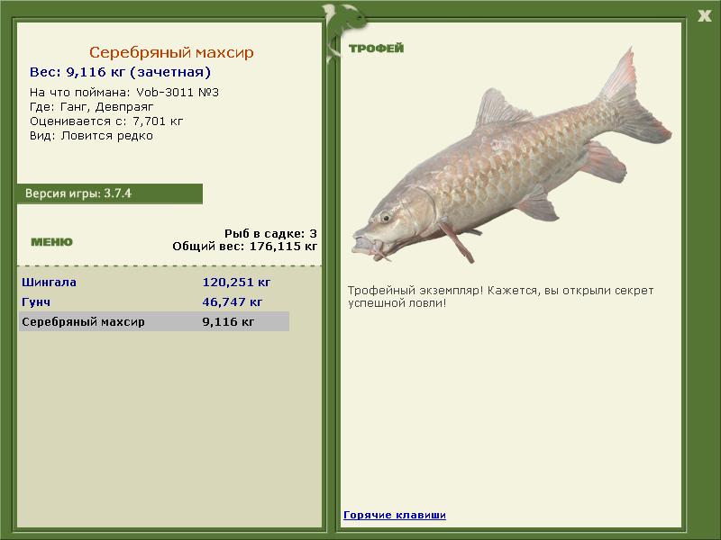 турниры • РУССКАЯ РЫБАЛКА