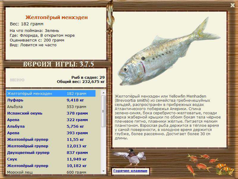РУССКАЯ РЫБАЛКА Installsoft Edition 
