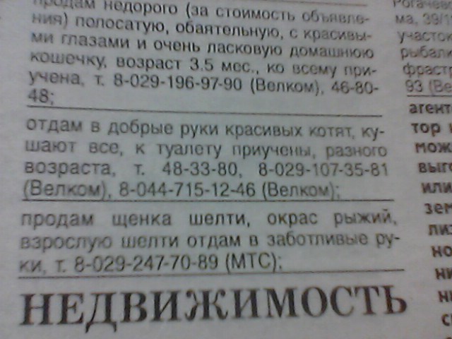  Как поступить?!