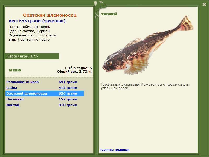 Охотский шлемоносец 
