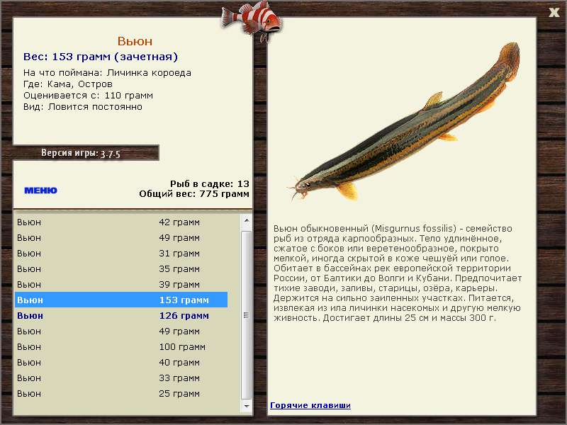 Остров 