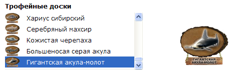 Каменный мол 