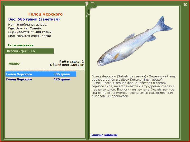 Оленёк 