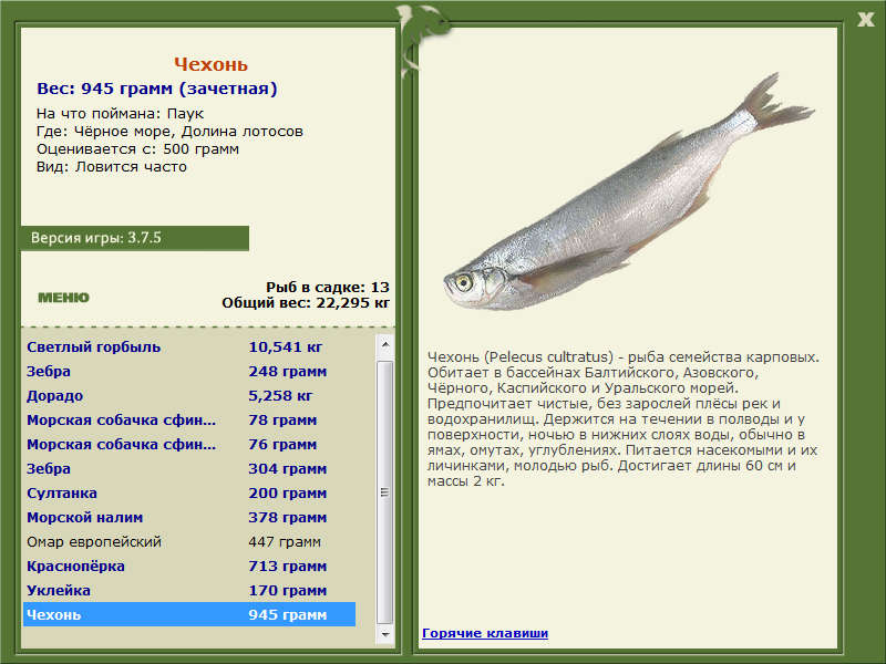 Чёрное море 