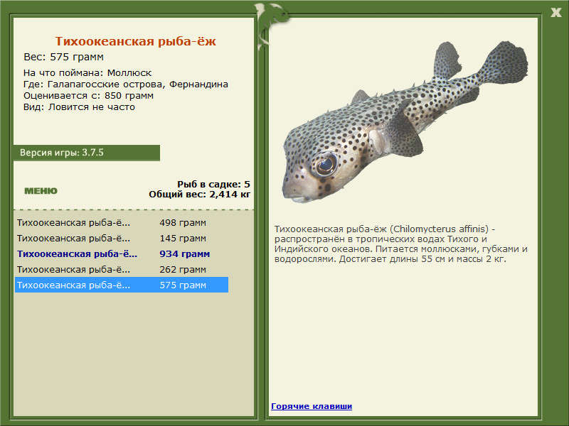 Фернандина 