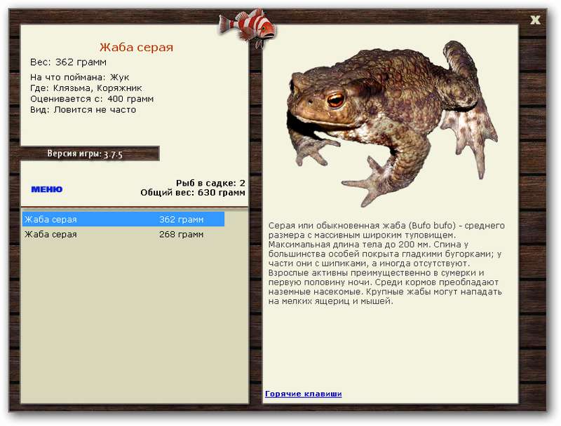 Коряжник 