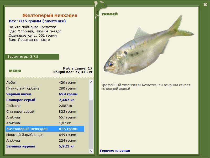 Паучье гнездо 