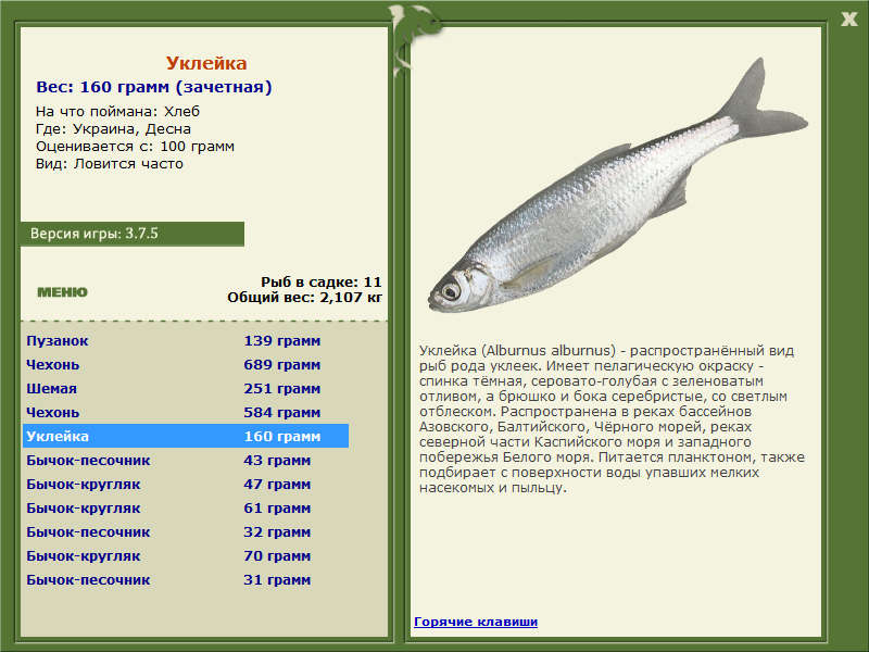 Украина 