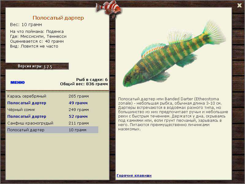 РУССКАЯ РЫБАЛКА Installsoft Edition 