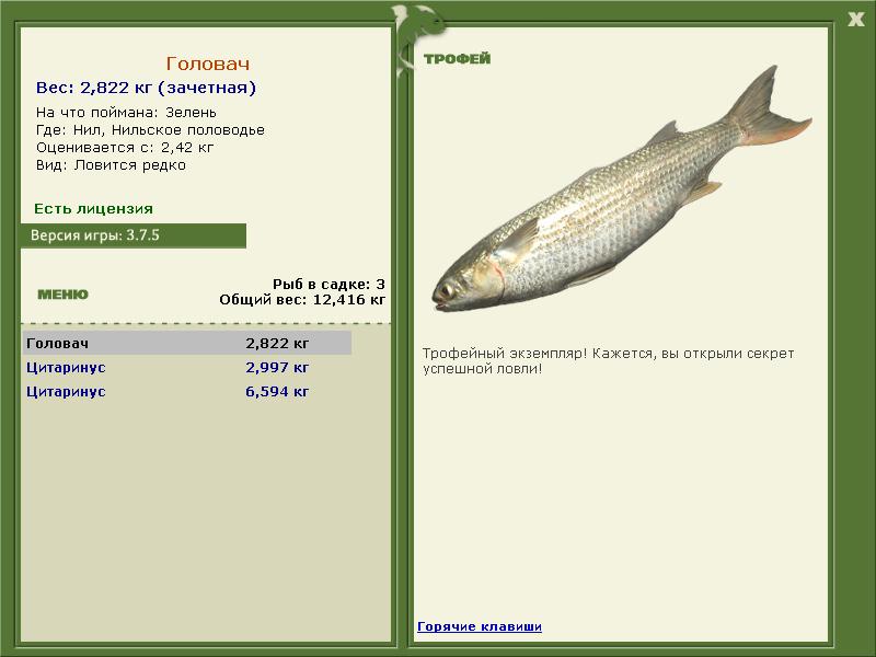 Зелень 