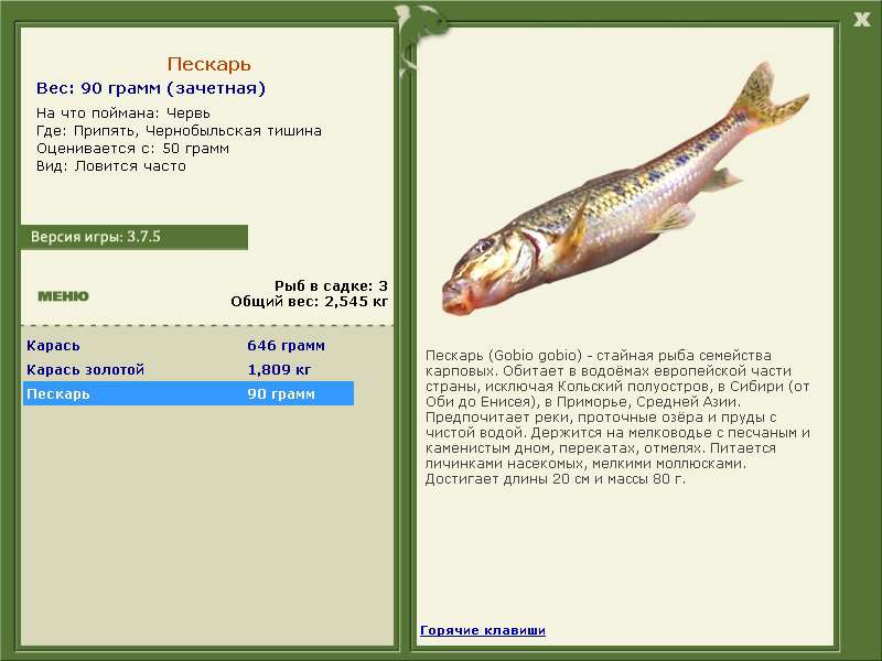 Припять 