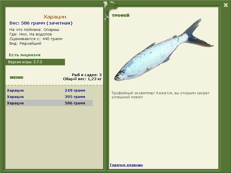 турниры • РУССКАЯ РЫБАЛКА