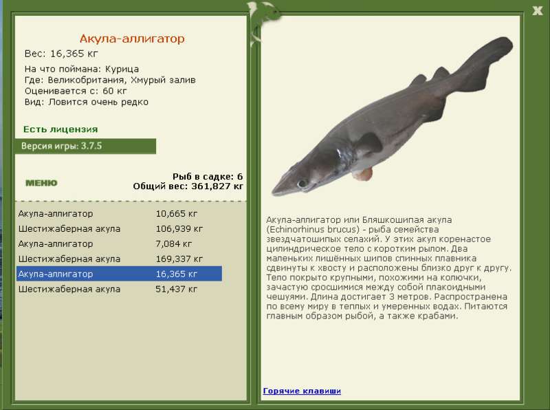 Хмурый залив 