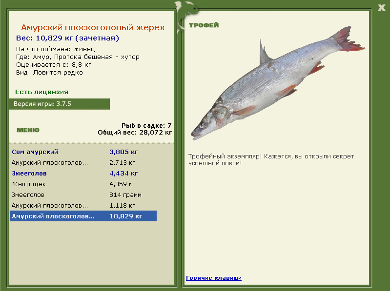  хутор • Амур • РУССКАЯ РЫБАЛКА