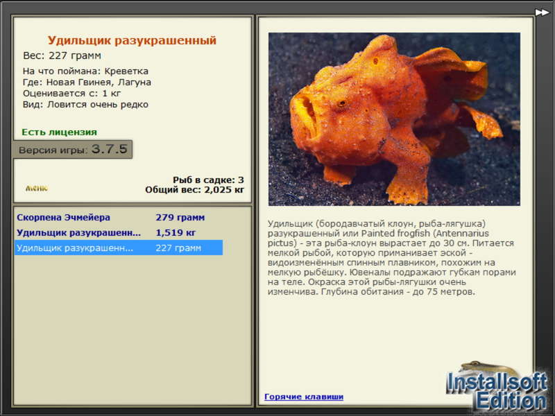 турниры • РУССКАЯ РЫБАЛКА