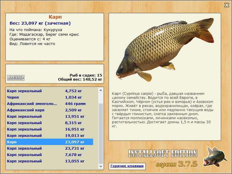 Берег семи крыс 