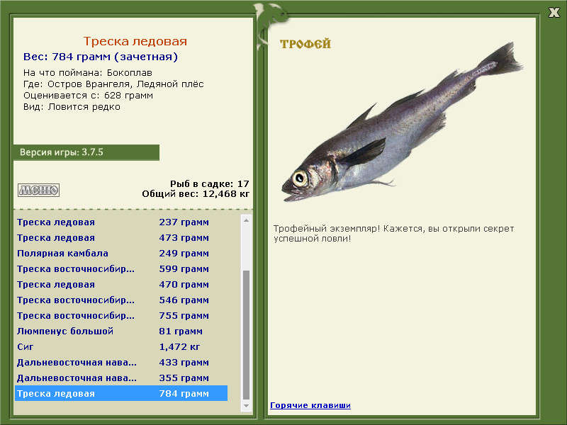 Треска ледовая 