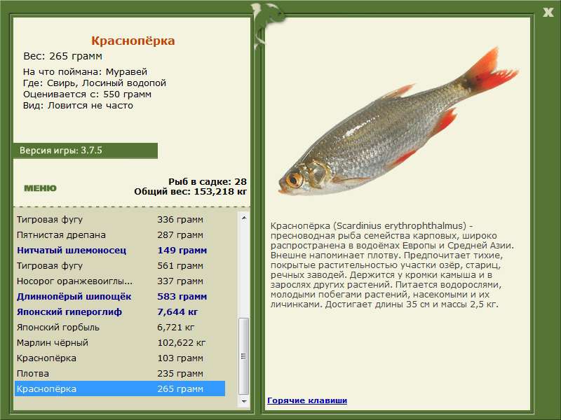 Лосиный водопой 