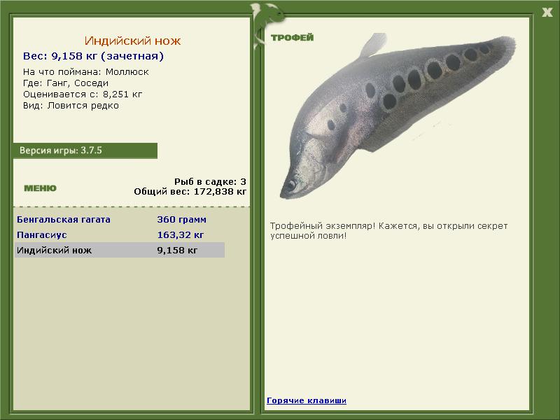 Индийский нож 
