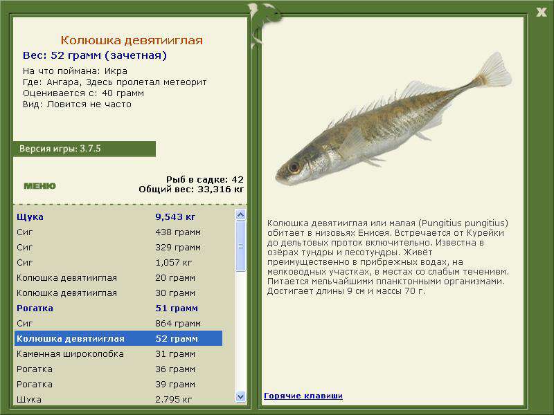 Ангара 