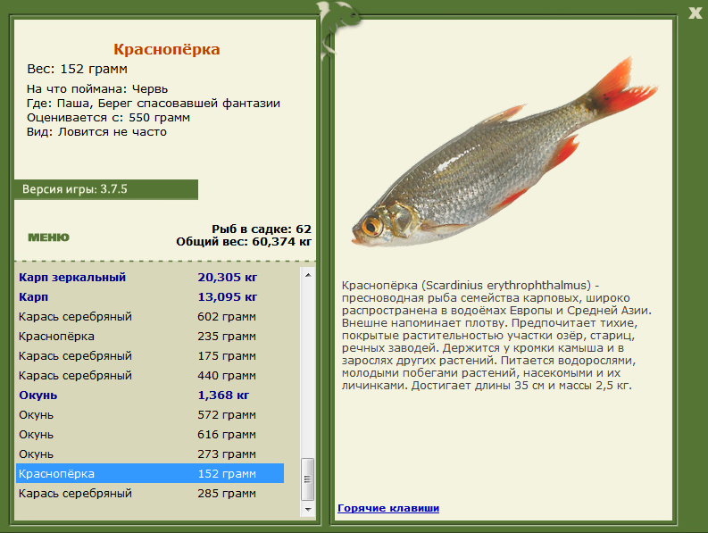 турниры • РУССКАЯ РЫБАЛКА