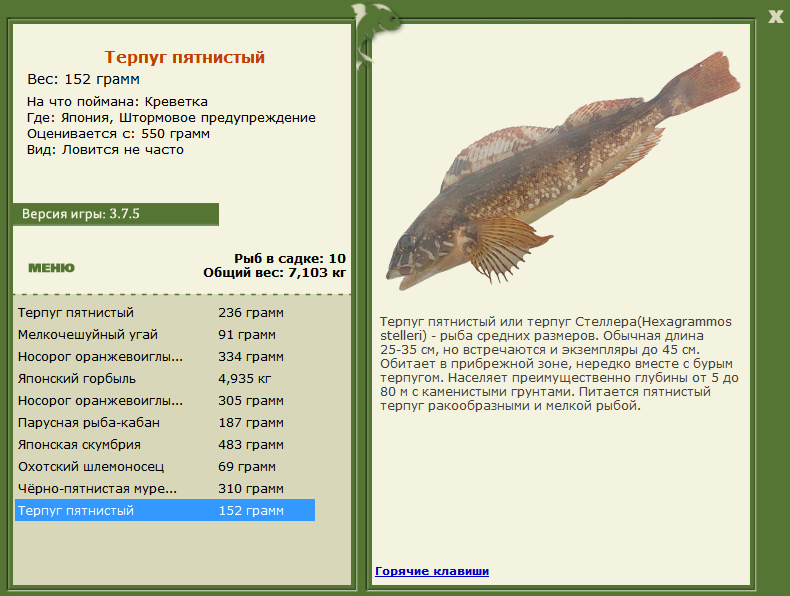 турниры • РУССКАЯ РЫБАЛКА
