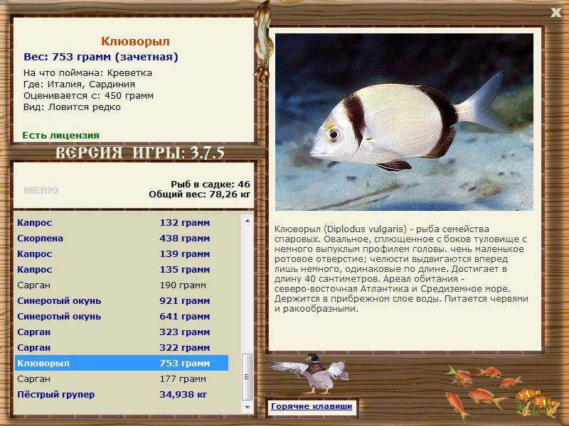 РУССКАЯ РЫБАЛКА Installsoft Edition 