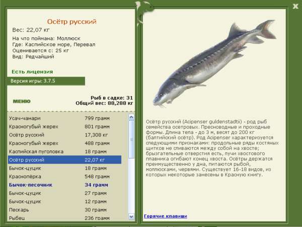 Каспийское море 