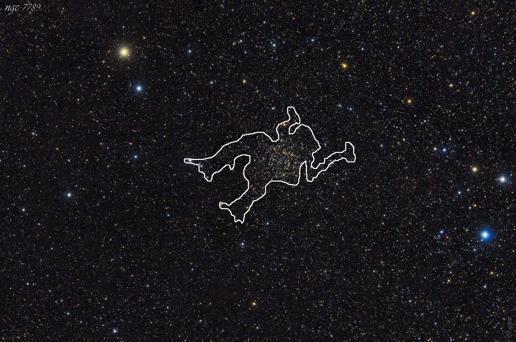 Рассеянные скопления, кратные и одиночные звёзды 