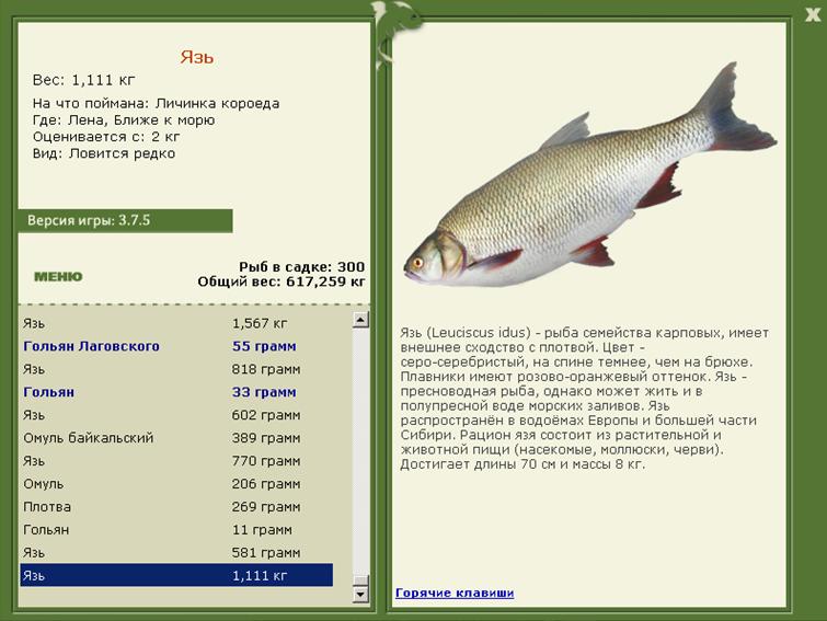 турниры • РУССКАЯ РЫБАЛКА