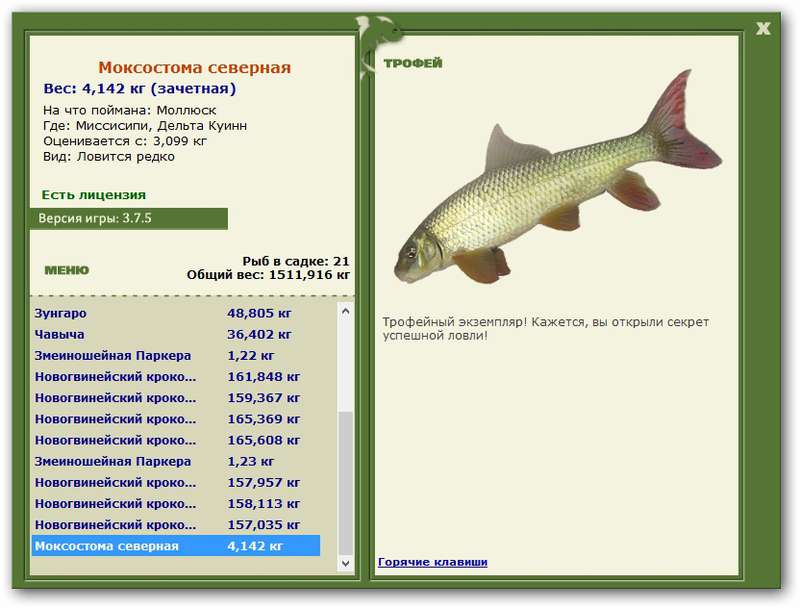 Моксостома северная 