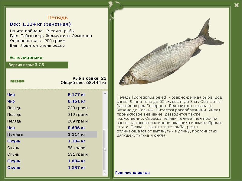 Лабынгкыр 