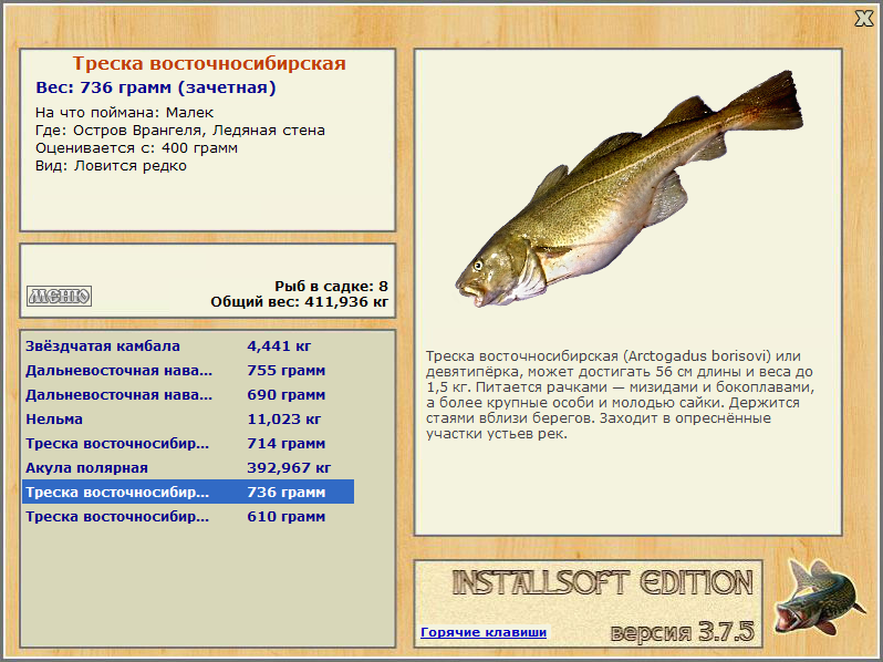 Ледяная стена 