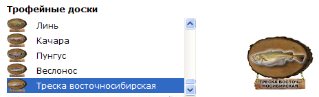 Ледяная стена 