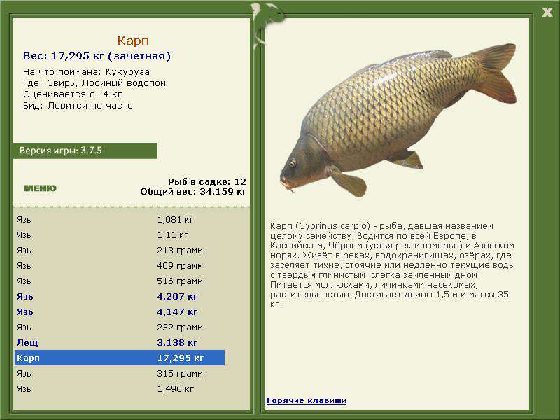 Свирь 